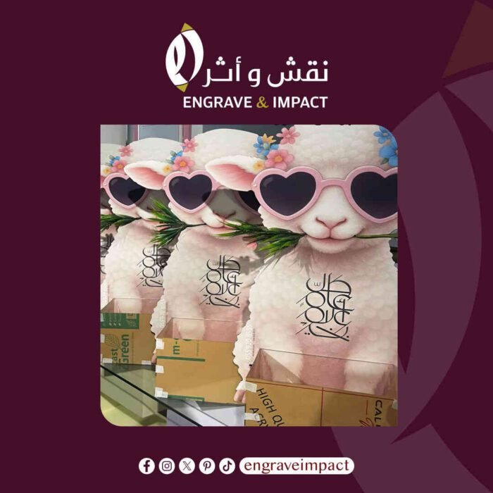 بوكس توزيعات